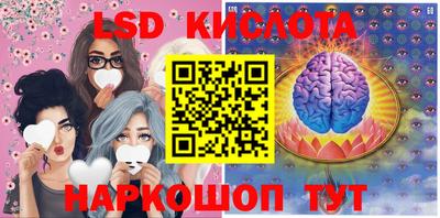 шишки Славгород