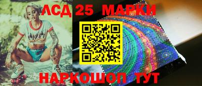 шишки Славгород