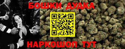 шишки Славгород