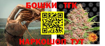 шишки Славгород