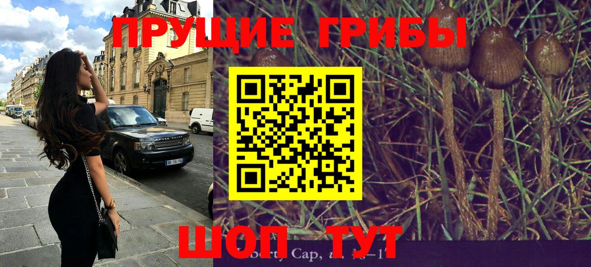 Галлюциногенные грибы ЛСД Саров
