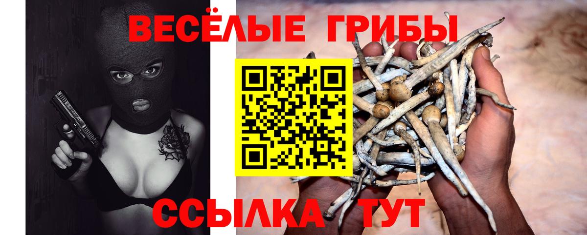 Саров  Галлюциногенные грибы Cubensis  Вход с VPN 